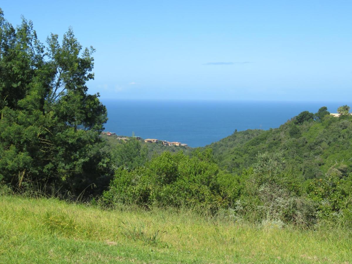 Hakuna Matata Wildernis Exterior foto