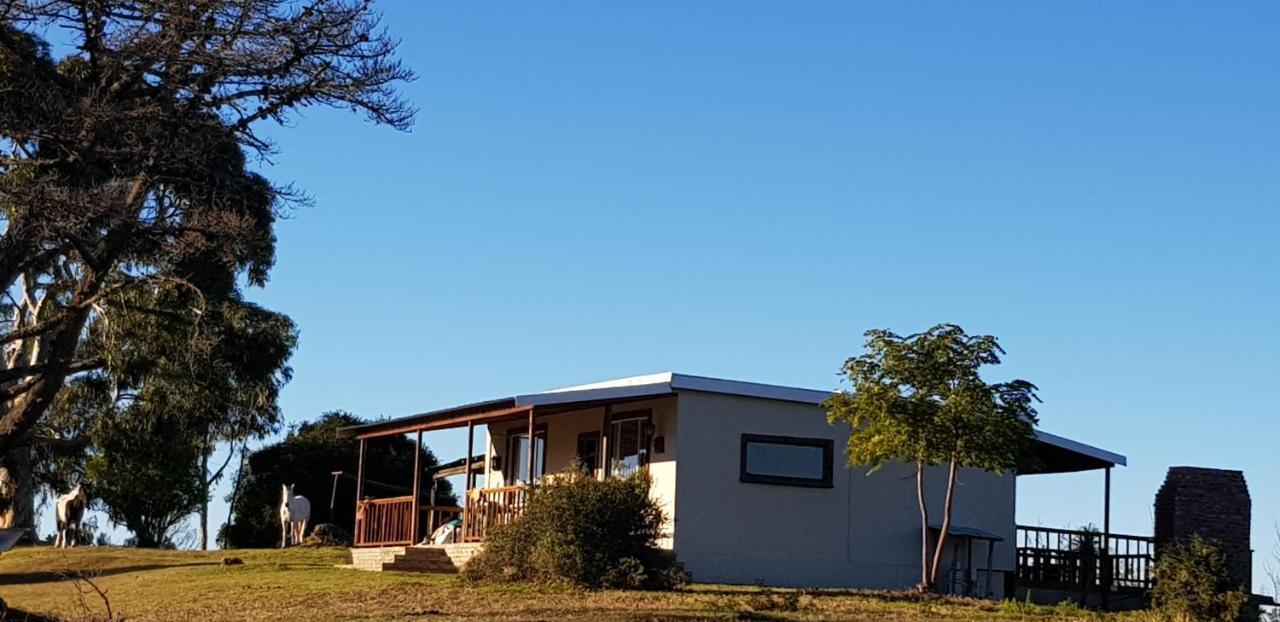 Hakuna Matata Wildernis Exterior foto